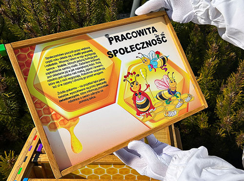 Tablica edukacyjna Pracowita społeczność w interaktywnym ulu